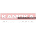 Kaasujousi, konepelti