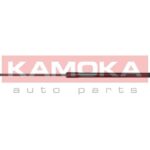 Kaasujousi, tavaratila