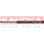 Kaasujousi, tavaratila