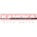 Kaasujousi, tavaratila