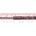 Kaasujousi, tavaratila