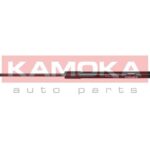 Kaasujousi, tavaratila