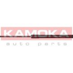 Kaasujousi, tavaratila