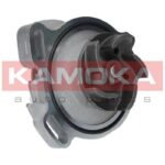 Vesipumppu, moottorin jäähdytys