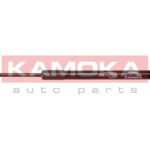 Kaasujousi, tavaratila