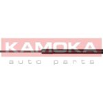 Kaasujousi, tavaratila