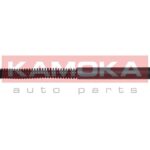 Kaasujousi, tavaratila