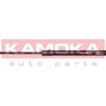 Kaasujousi, tavaratila