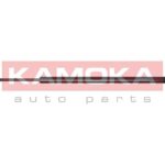 Kaasujousi, tavaratila