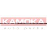 Kaasujousi, tavaratila