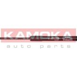 Kaasujousi, tavaratila