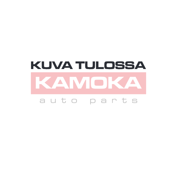 kuvatulossa_kamoka-2940.jpg Öljytikku - Image 1